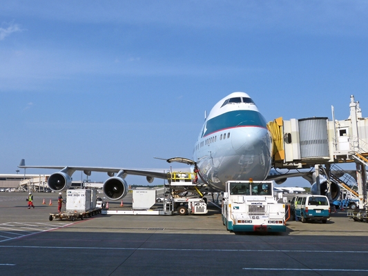 Shenzhen Freight Forwarder Dịch vụ vận chuyển hàng hóa quốc tế / UPS FEDEX Dịch vụ vận chuyển hàng hóa nhanh trên không