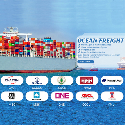 OOG BBK 40ft Container International Ocean Shipping Trung Quốc đến Jordan Cho hàng hóa chung