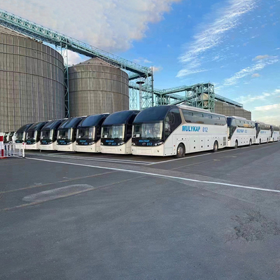 Container RORO Global Shipping Services từ Công ty Logistics Shenzhen